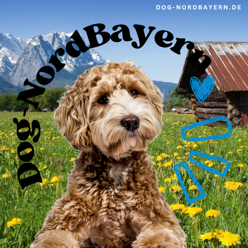 Dog-NordBayern.de