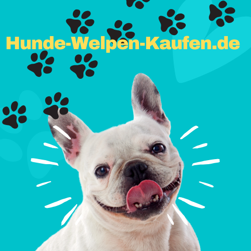 Hunde-Welpen-Kaufen.de